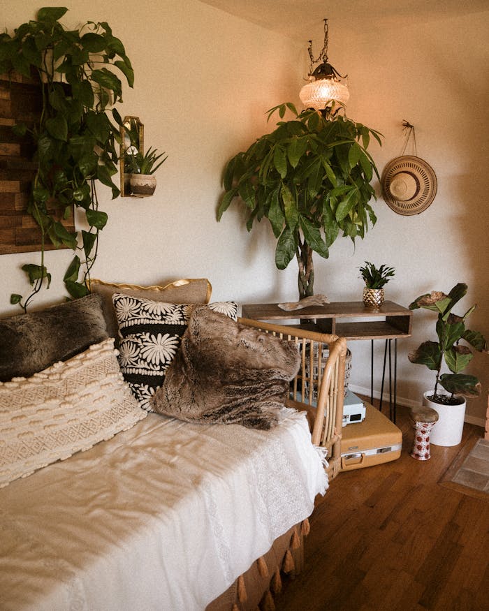 green-plants-2959583 A warm, stylish boho living room featuring houseplants and wooden decor.
